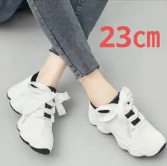 Item thumbnail for item ee393467-a293-45c8-b29c-d11a2757b2d4