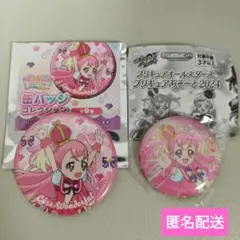 わんだふるぷりきゅあ！　キュアワンダフル　　2点セット