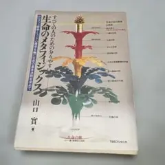 生命のメタフィジックス 山口實