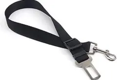 Item thumbnail for item 02822eb4-5ee1-4376-9b3a-b684bfc15ef2