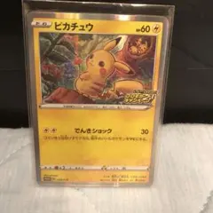 2026年最新】PROMO 124/s-pの人気アイテム - メルカリ