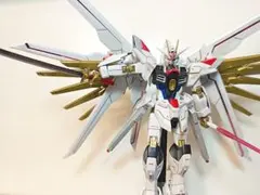 HG マイティストライクフリーダム 塗装　組立済み完成品 ガンプラ