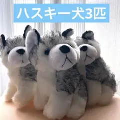 Item thumbnail for item ff01a49a-ce5f-47b0-96e2-33a368b166ce