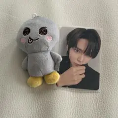 2025年最新】ソンヨンドリの人気アイテム - メルカリ