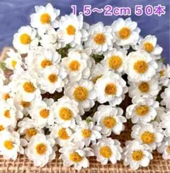 どっと てんてん様 リクエスト 2点 まとめ商品