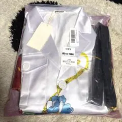 Item thumbnail for item 3a7d3a1a-ac3a-4f41-976d-8d6ed434dec8