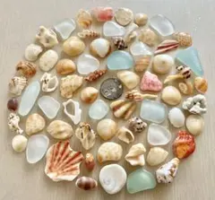 Item thumbnail for item d83a0421-881a-4c89-940e-9e06a0d81cb4