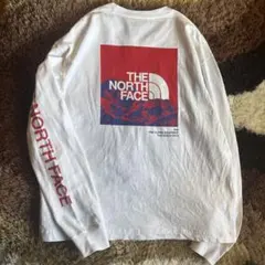 THE NORTH FACE L/S SLEEVE GRAPHIC TEE 白
