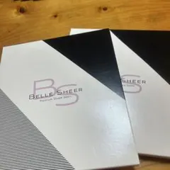 BELLE SHEER レギンスLサイズ