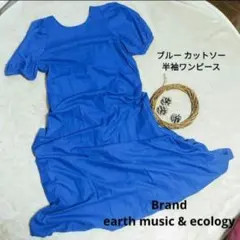 ブルー カットソー 半袖ワンピース フリーサイズ