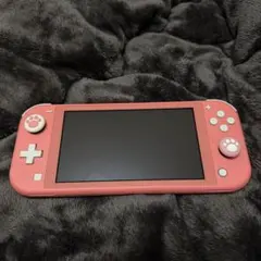 Nintendo Switch Lite 剣盾コラボデザイン 本体と充電機器のみ - メルカリ