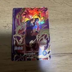 ドラゴンボールダイバーズアドバンスパック GOR 孫悟空①