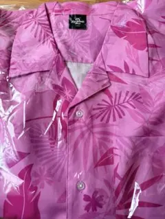 Item thumbnail for item 9cb278c6-dbdf-42d4-b67e-5baad0134c63