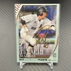 Item thumbnail for item 2cb86332-4df4-4c71-a68b-8797632fbfe2