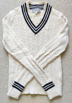 Sサイズ ユニクロ INES DE LA FRESSANGE Vネックニット