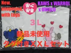 XXL☆新品☆UNIQLO×KAWS＋WARHOL カウズ+ウォーホル 2枚⑬