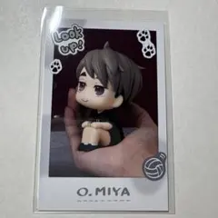 ハイキュー 宮治 るかっぷすなっぷカード