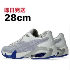 28cm Kiko Kostadinov Asics Gel-Teremoa