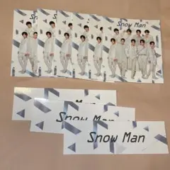 Snow Man ポートレートシリーズ ロゴ 全員 フレークシール
