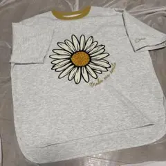 LOGOS DAYSレディース半袖TシャツBIGシャツM