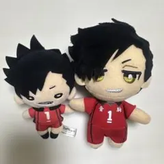 ハイキュー!! 黒尾鉄朗 ぬいぐるみ ジャンプフェスタ2015 限定 - メルカリ
