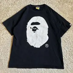 Item thumbnail for item 7b731715-a450-49cd-90f6-446d75affc48