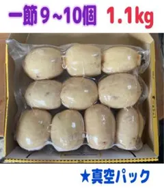 じゅんじゅん様専用ページです。 一節小サイズ9~10個 1キロ