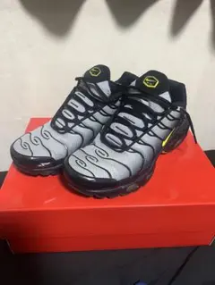 NIKE AirMaxPlus マップラ　28cm