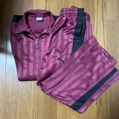 PUMA バーガンディ ストライプ ジャージセット　上下　ユニセックス