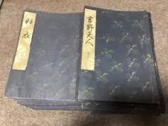 Item thumbnail for item 5e1691ea-7717-4df5-ab57-f42e4cc48a54