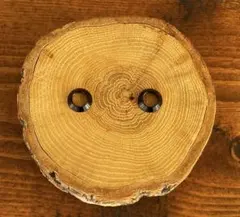 Item thumbnail for item c1c1b071-1ddf-47de-b0d7-9b923c0b7b7f