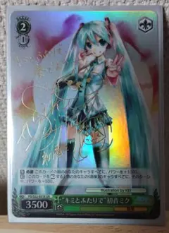 おかぴん※まとめ買い可能です！様 リクエスト 2点 まとめ商品