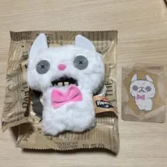 ファグラー アリーキャッツ チージー