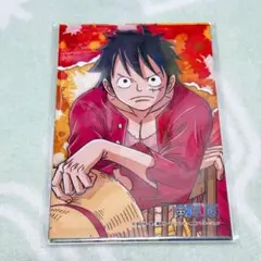 2026年最新】生ブロマイド ワンピース ローの人気アイテム - メルカリ