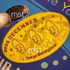 ディズニー スーベニアメダル マンスリーメダル 12月 カンベア サンボネッツ