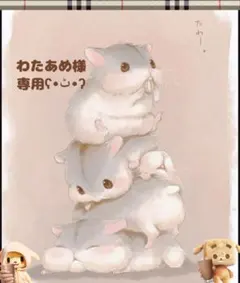わたあめ様専用ページ（はむちゃん編ʕ•̀ω•́ʔ✧）
