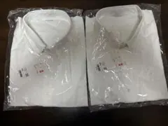 Item thumbnail for item 990dc5e5-5b2b-44c0-9000-e6e378764de9