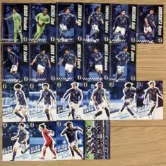 ⭐︎バラ売り可⭐︎サッカー日本代表 ポテトチップス カード 21枚セット