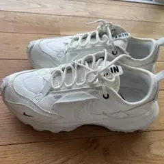 Nike ホワイト スニーカー　TC7900