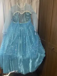 仮装衣装、アナ雪