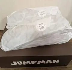 【未使用】ナイキ ジャンプマン ジャック TR　　27.5