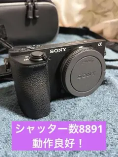 2026年最新】sony α6500 レンズの人気アイテム - メルカリ