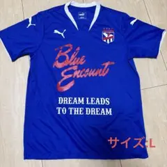 レア】ジュビロ磐田 ネスレ トレーニングシャツ ユニフォーム 90s~00s