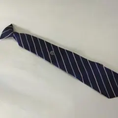 Item thumbnail for item a31ffe6d-e6f1-49ba-8132-46a6498e4721