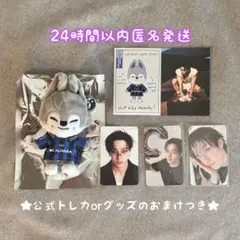 StrayKids スキズ KARMA skzoo バンチャン ウルフチャン