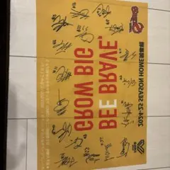 Item thumbnail for item 2e0adb08-0a55-4954-ac68-2c768c2465f9