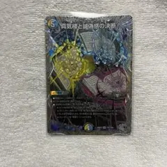 2026年最新】パーフェクトペテンシーの人気アイテム - メルカリ