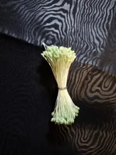 Item thumbnail for item e39497c5-3445-4865-983f-291b3339fa60