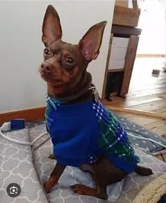 Item thumbnail for item f1c52db1-49ed-4f23-8aa9-e894d60974f6