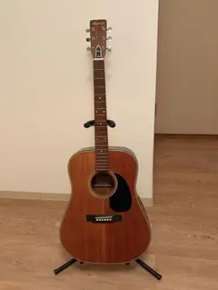 2026年最新】morris 9弦の人気アイテム - メルカリ